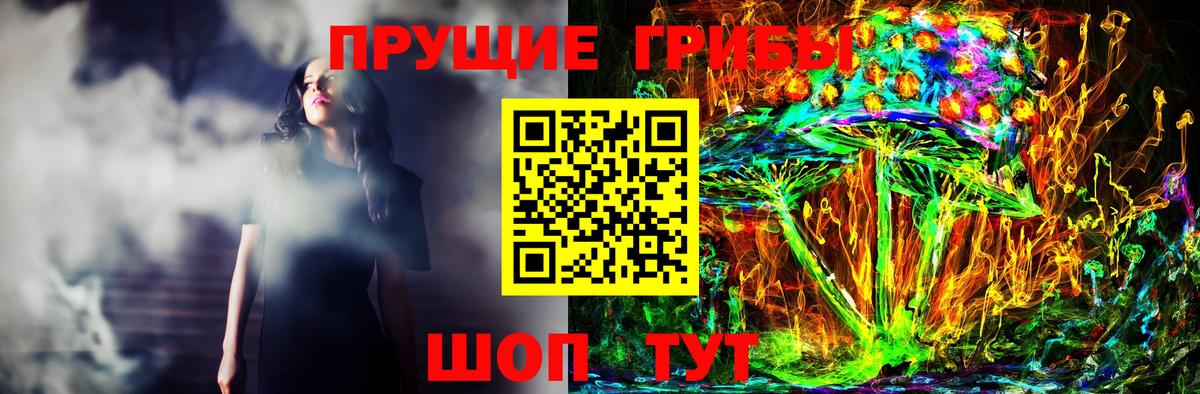 где купить наркоту  Вход с VPN  Псилоцибиновые грибы Psilocybine cubensis  Псков  Псилоцибиновые грибы Magic Shrooms 